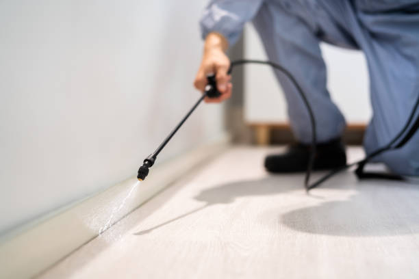 Licensed Fumigation Services service in Pleasant Hill, MS - Nex Pest Control