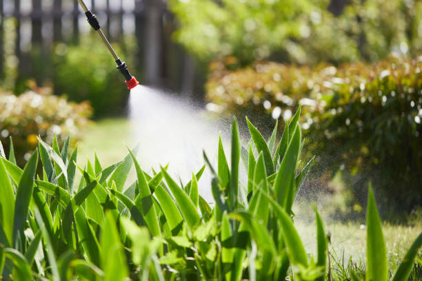 24/7 Emergency Fumigation Services experts in Pleasant Hill, MS